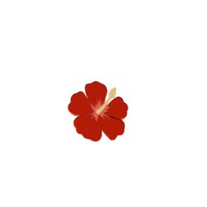 Anillo Hawai